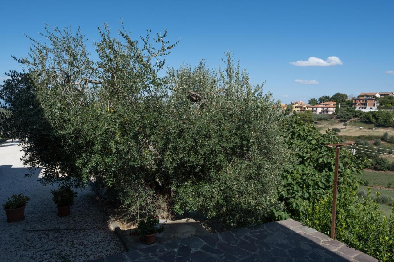 Apartamento La Casa Di Sara Città della Pieve Exterior foto